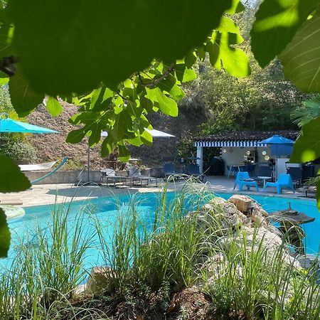 Domaine Double D Villa Cagnes-sur-Mer Dış mekan fotoğraf