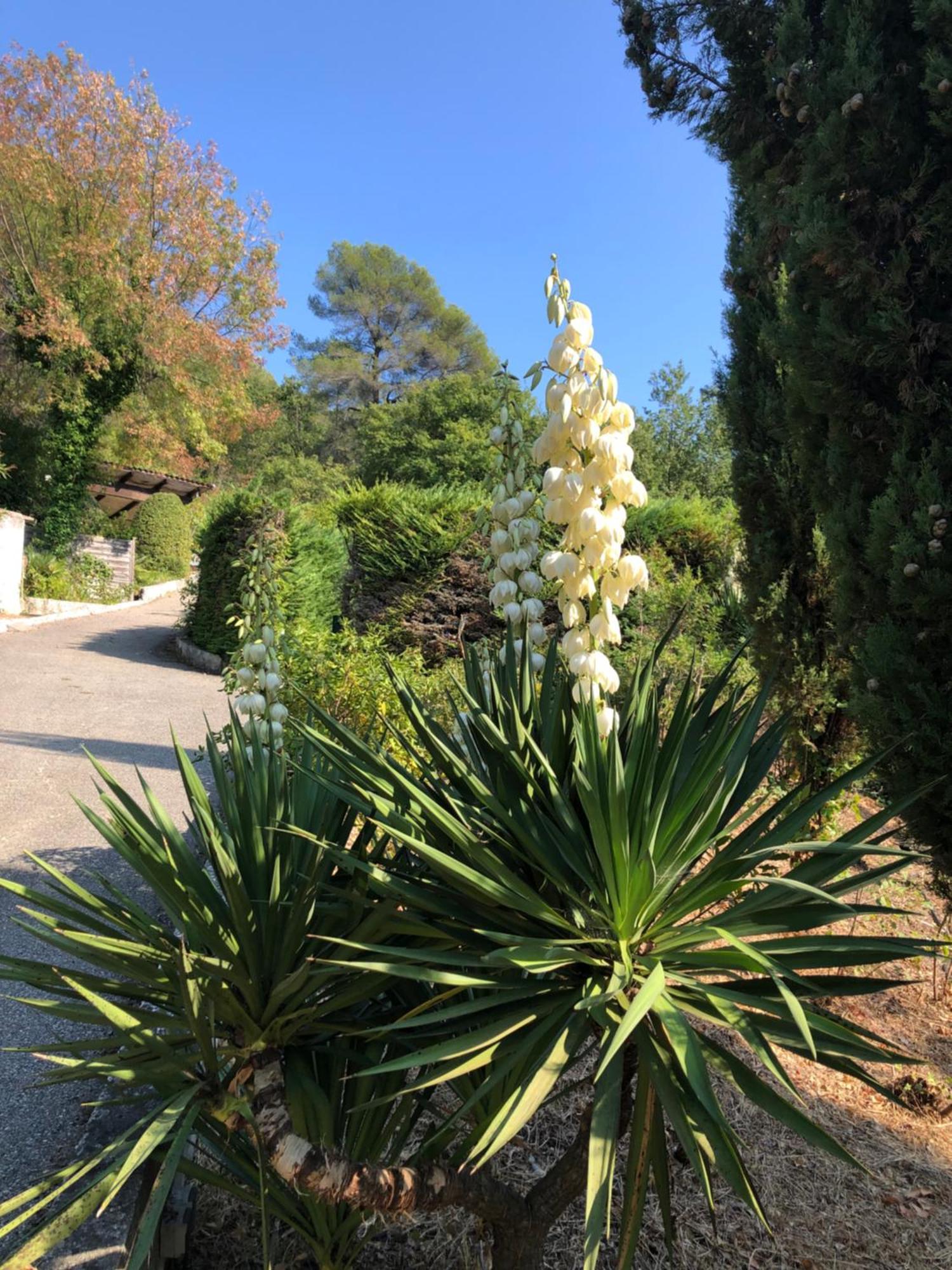 Domaine Double D Villa Cagnes-sur-Mer Dış mekan fotoğraf